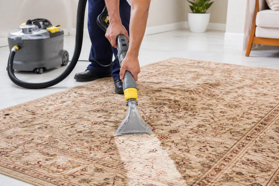 Professional extraction cleaning of an Indian wool carpet